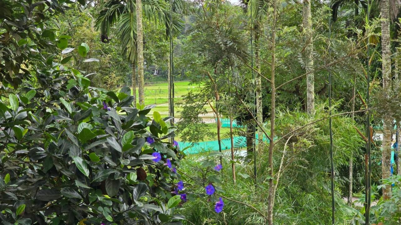 Green Aura Private Villas Sultan Bathery Exterior foto